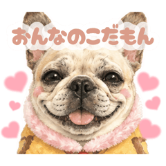 HanaHana_20260807005147