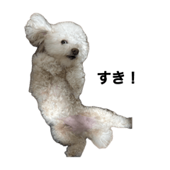 sakkolo_20260807005547