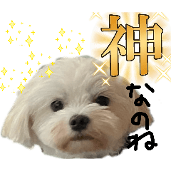 UFOOOOMYH_20260807010725