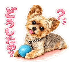 Ramu_20260807013203