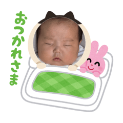 eri_20260807022029