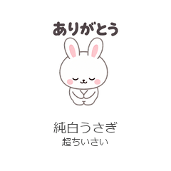 Tiny White Rabbit Everyday 40