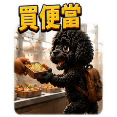 Black Toy Poodle Life [ZiFu]