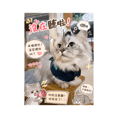 Jone_20260806174938
