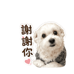 麻糬Q吉