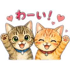 mayu_20260807060430