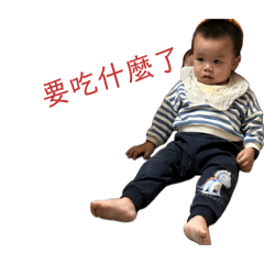 每天都有表情包