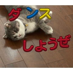 Hana_20260807074831