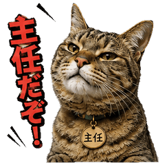 Chief Cat's Tough Love