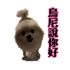 烏尼說你好