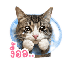 Baby_20260609114855