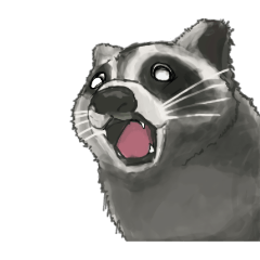 raccoon*_*
