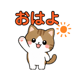 chacha_20260807014544