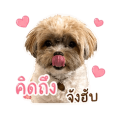 Suwfai_20260610130305