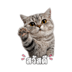 NemuMeow V.1