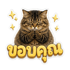moomoo_20260610144331