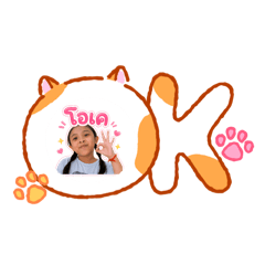 Cat_364748585858585