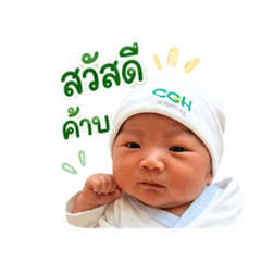 IDEN KUB