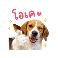 Mojijijijijiji