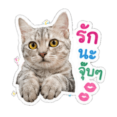 Amornrat_20260611181102