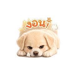 Beam_20260611211845