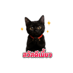 Dreammie_20260729194109