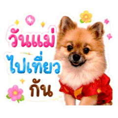Sasi Stickers_20260729210327