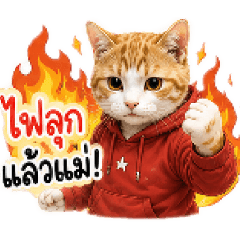 Matthew_20260729213556