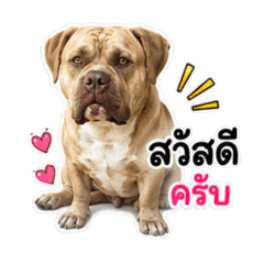 MaMamolly_20260729220311