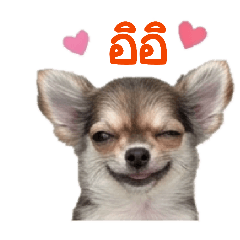 kodchpan_20260729222319