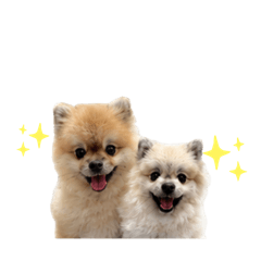 Than Fs._20260729224824