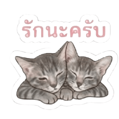 pukpao_5359