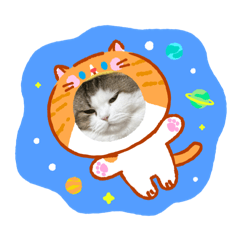 Butter Cat Daily Vol.1