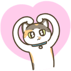 มีตัง แมวขายาว