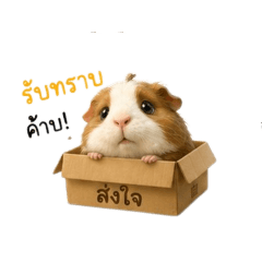 aumsiripat_20260807062923