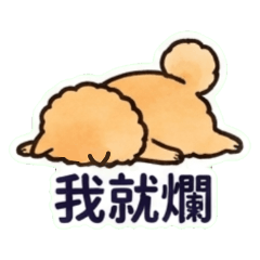博美犬的日常廢話