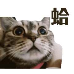 周妞妞 第一彈