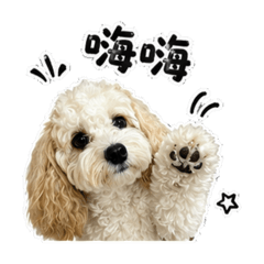 LUBI 日常用語