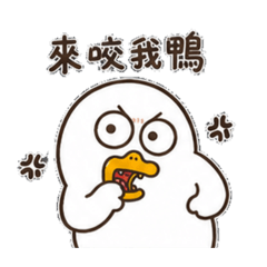 呆萌鴨日常