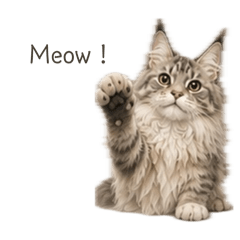 Meow —