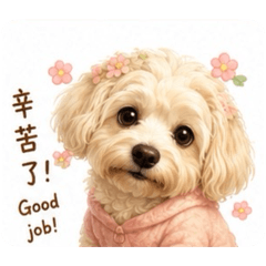 波堤貼圖2