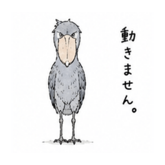 cyocoto-pointu_20260807080122