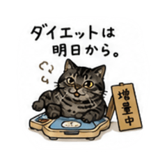mofymozu_20260807074444