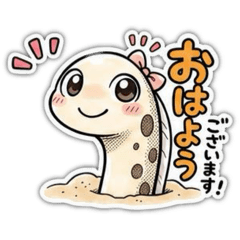 YUCCI_20260807082046
