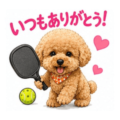 picklekoji_20260807104210