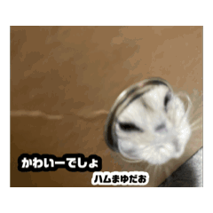 AIKU_20260807151241