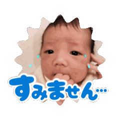 chiko_20260807175517