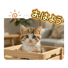 ranmaru_20260807201930