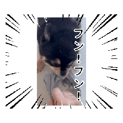 pinokikaku_20260807224113
