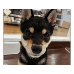karen_20260807205306